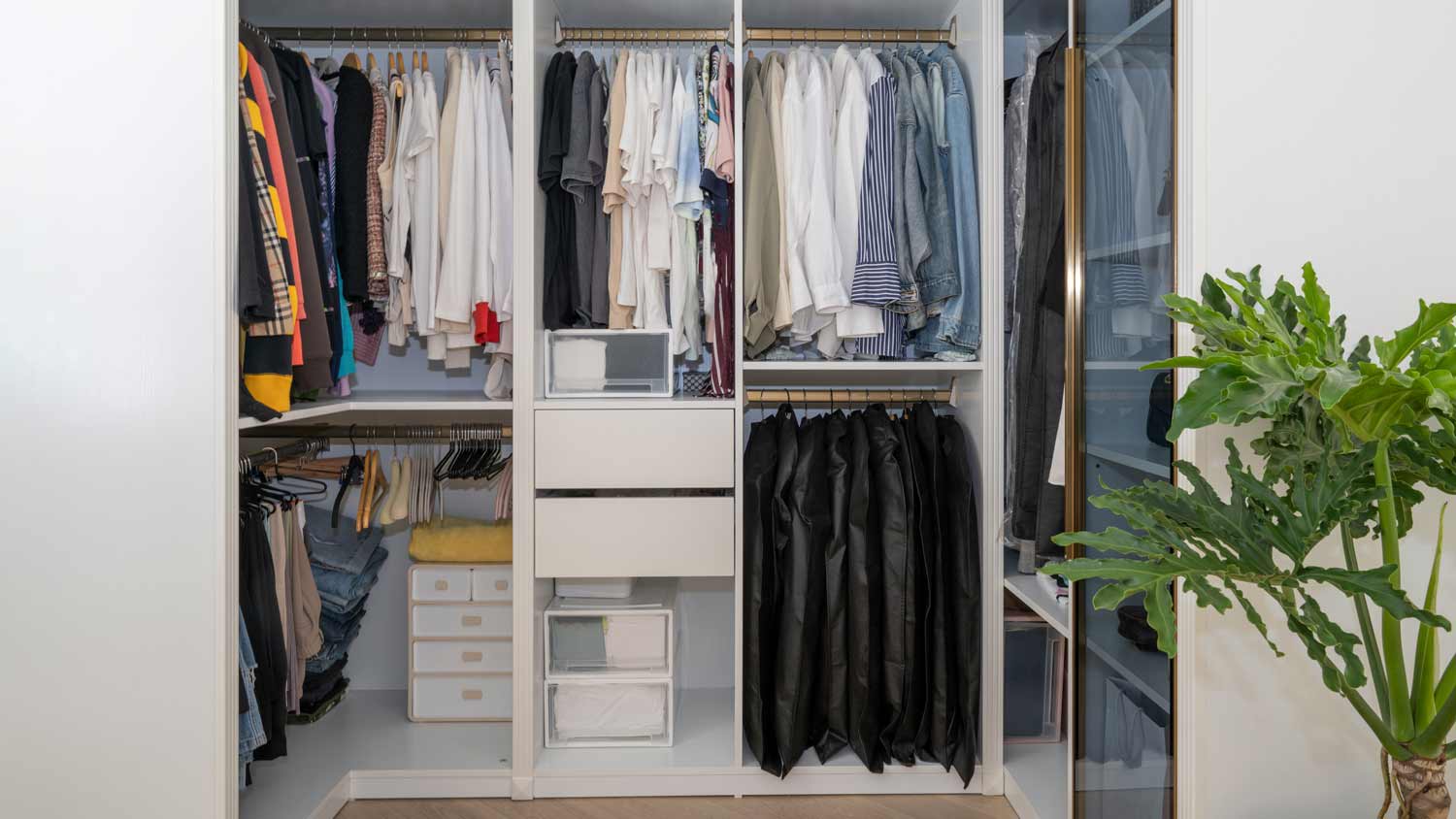 clean built in closet
