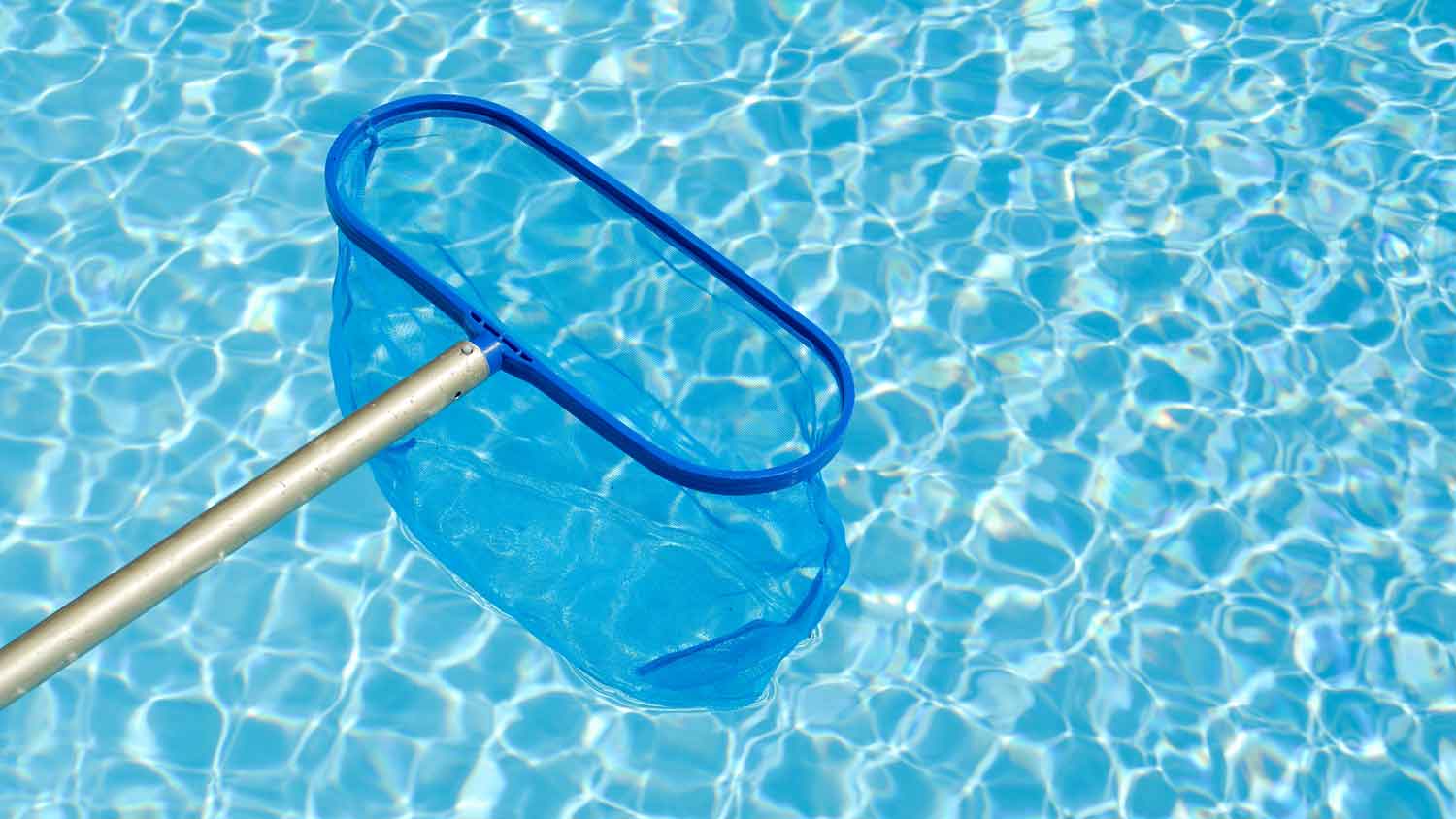 Using a skimmer to clean debris from swimming pool