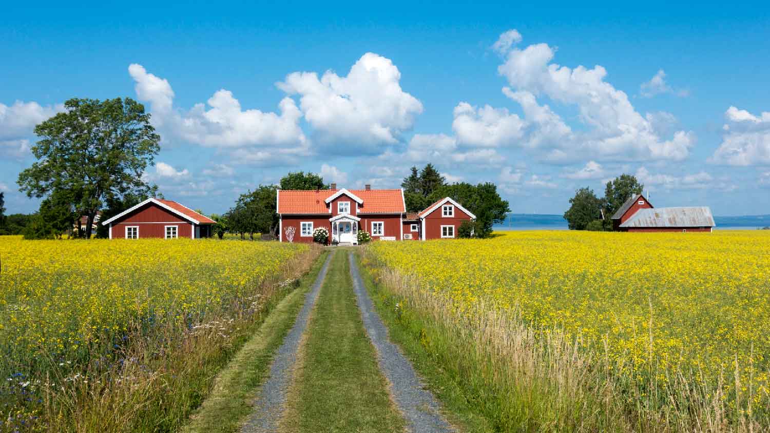 A farm house on a bright day