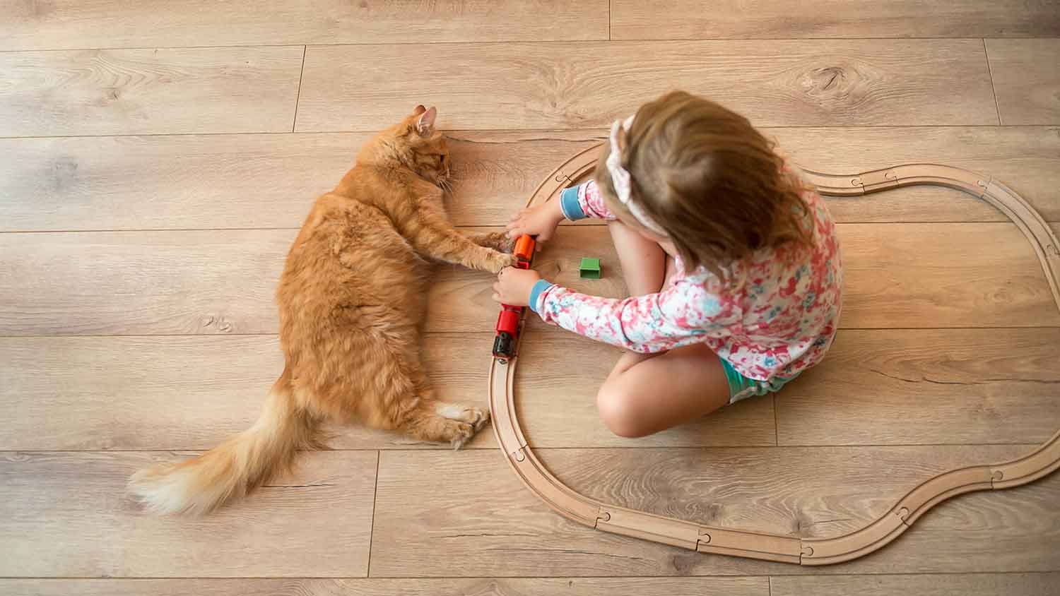 Girl sitting on the floor playing with her cat and toys