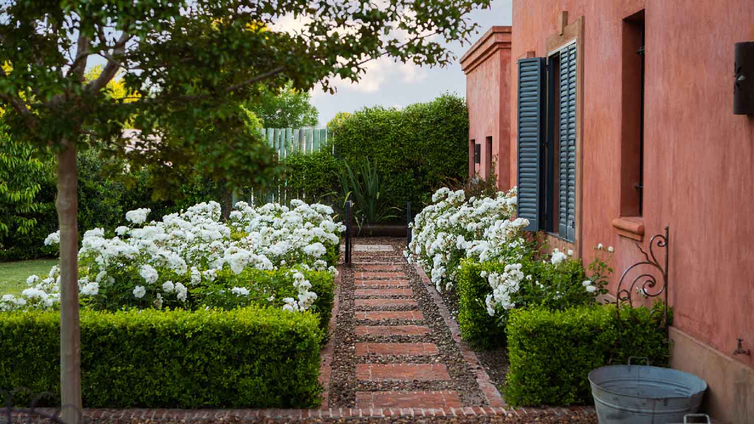 An english garden with a walkway and white roses