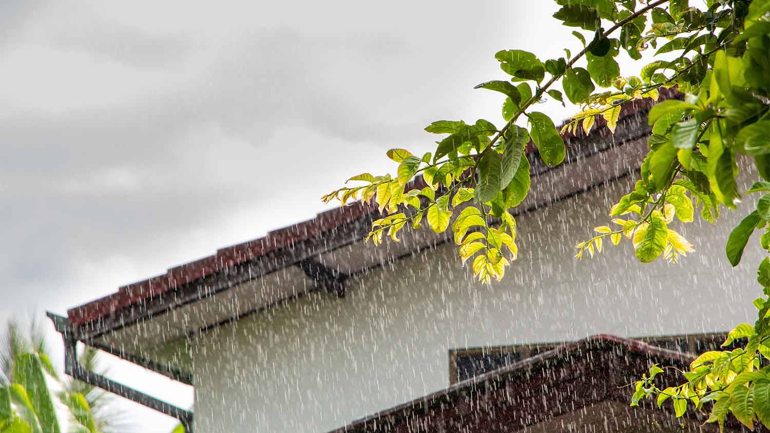 A view of the exterior of a house on a rainy day