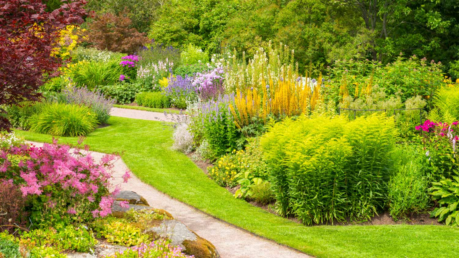 Colorful summer garden