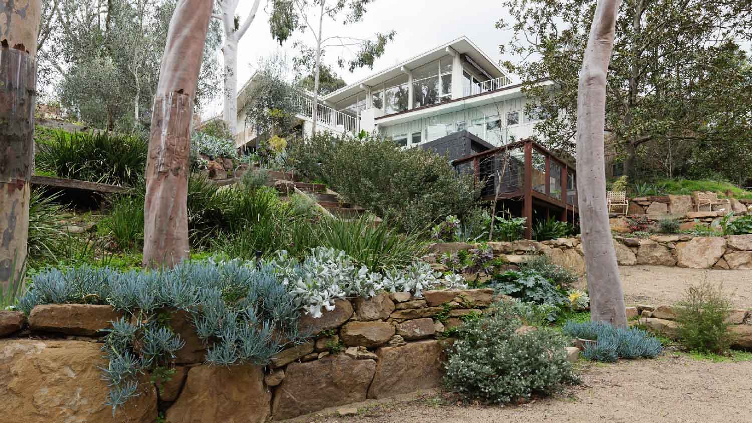 A beautiful house with a native garden