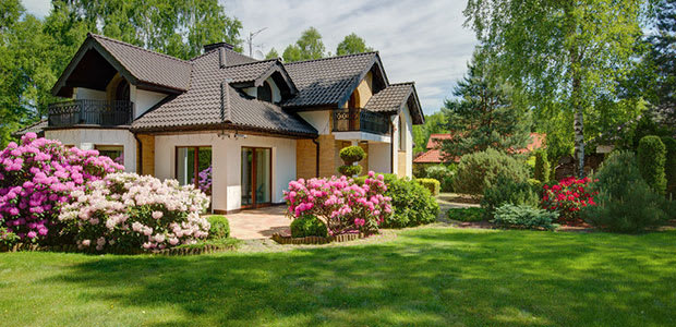 a house with a beautiful backyard filled with flowers