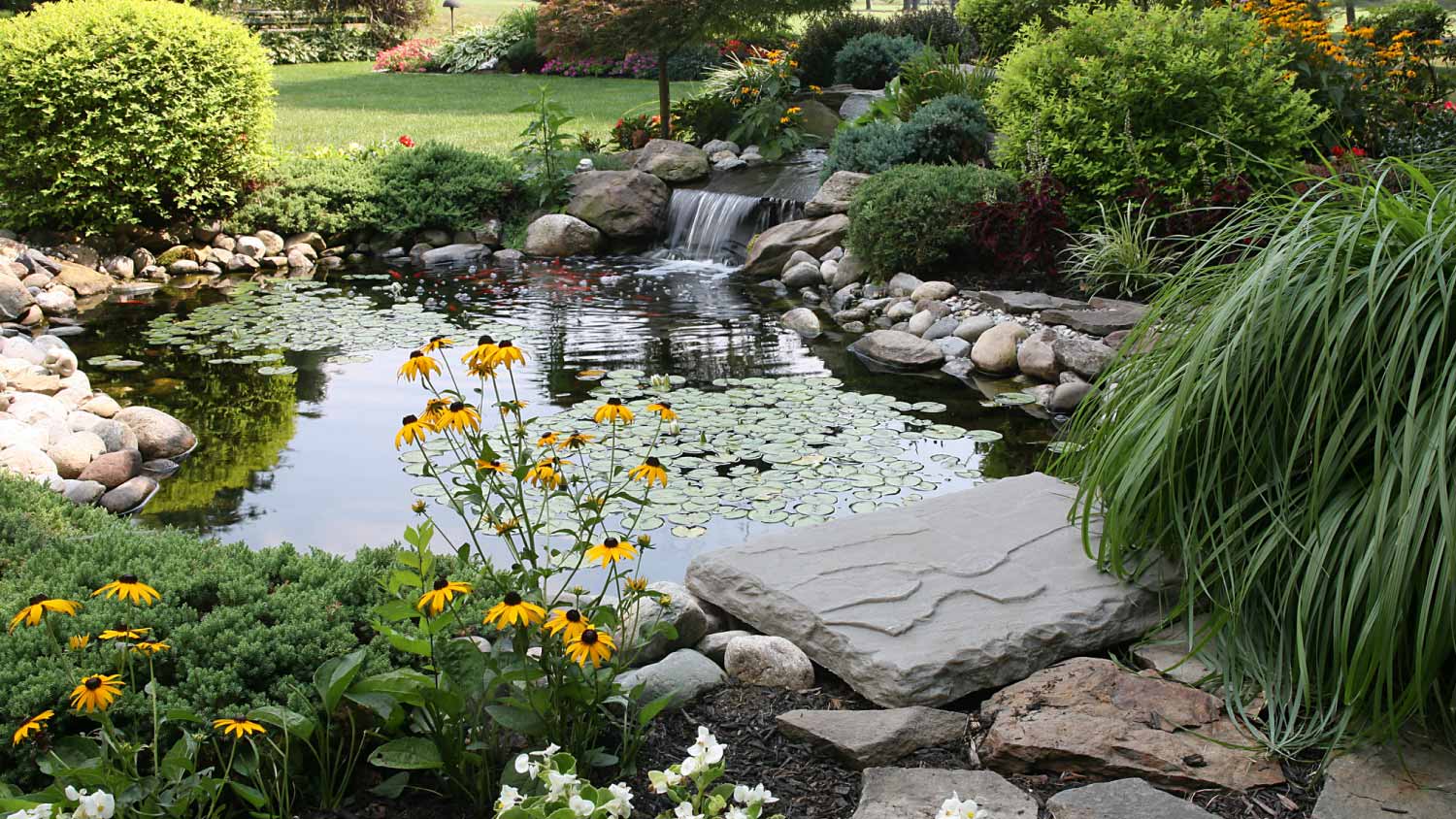 Large garden pond