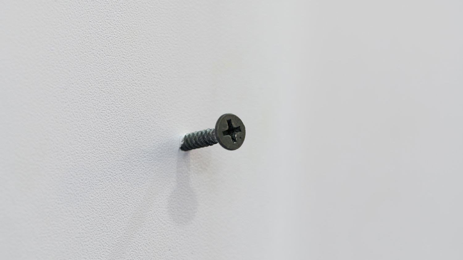 A screw on a drywall