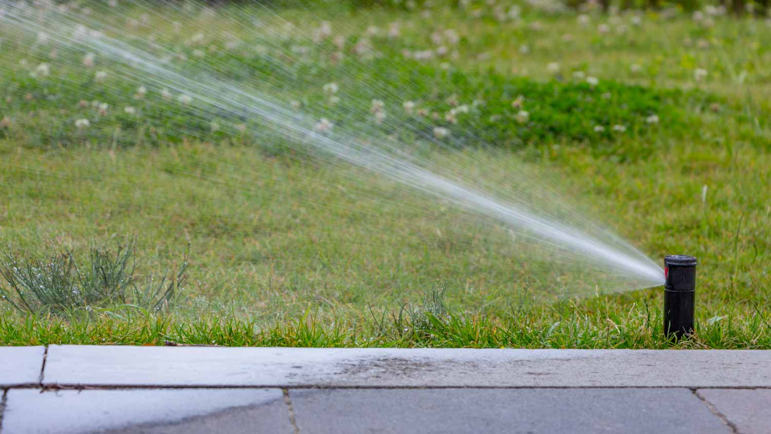 Automatic sprinkler system