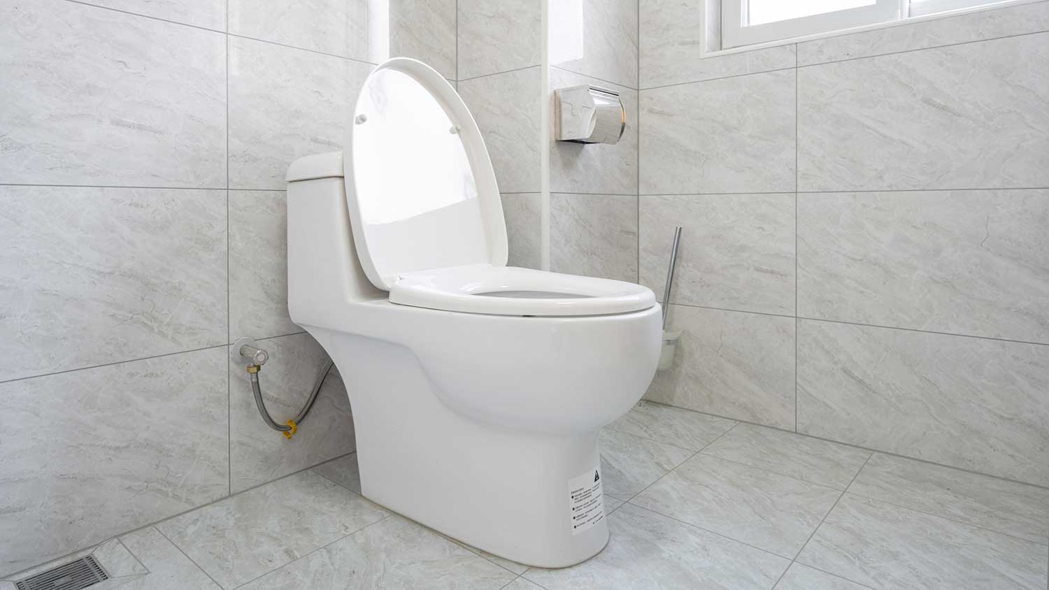 Pressure assist toilet installed in the bathroom