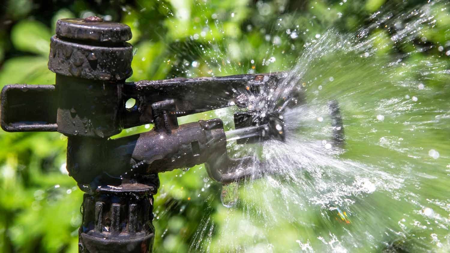 leaky sprinkler head
