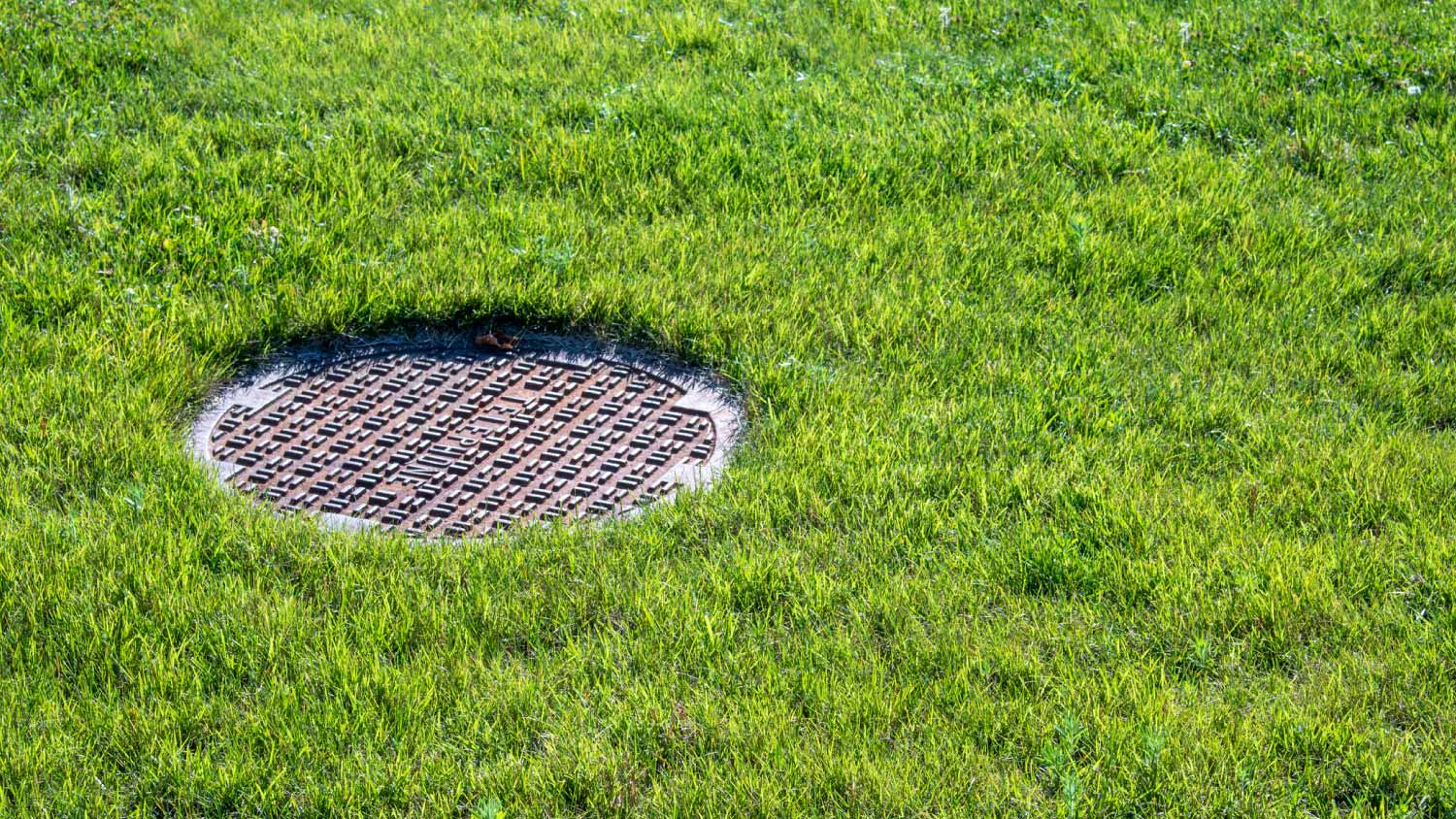 cesspool on the backyard