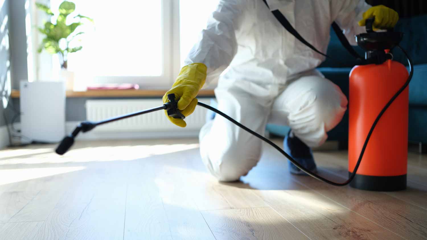 Worker disinfecting apartment