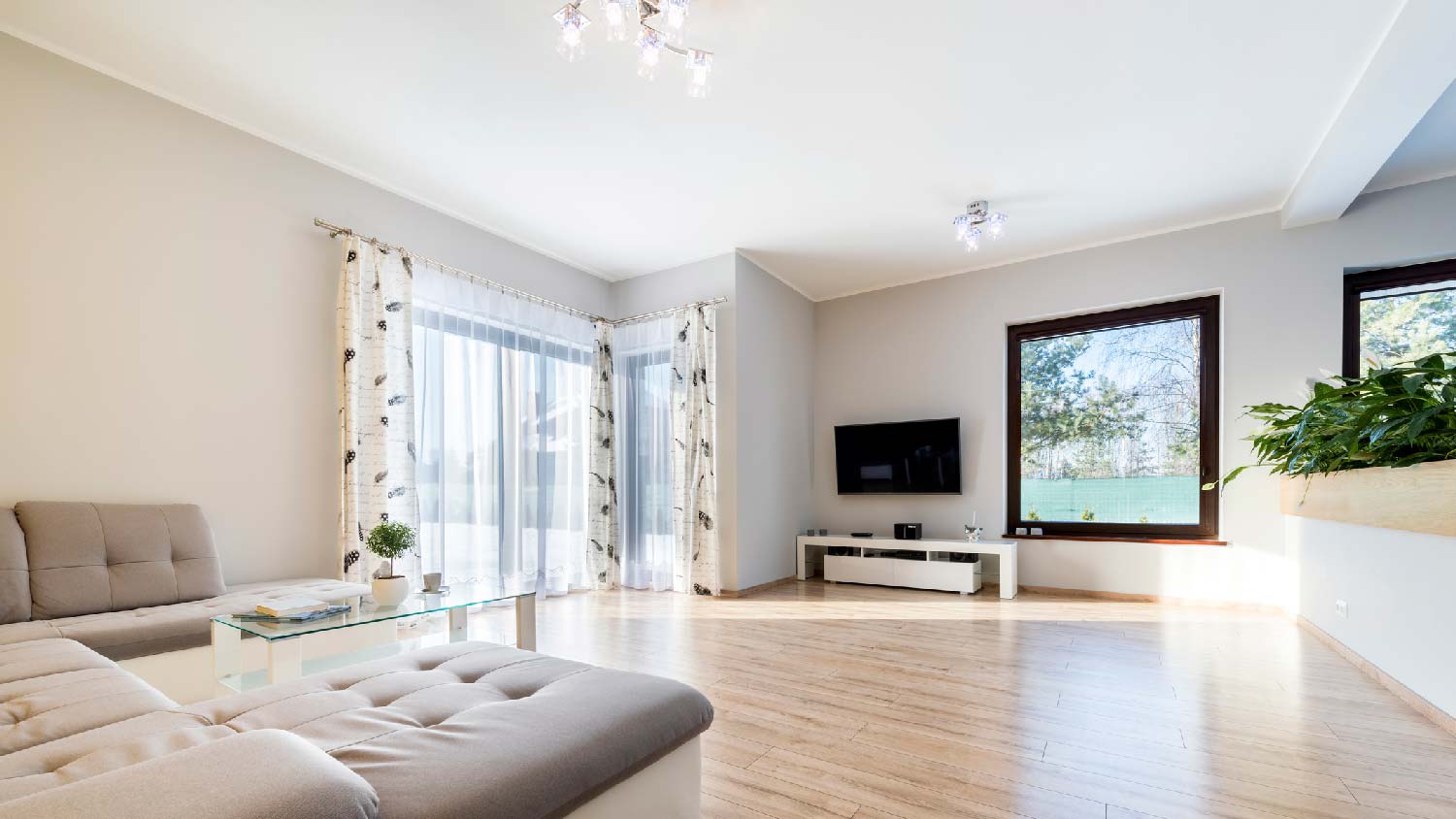 A large bright living room