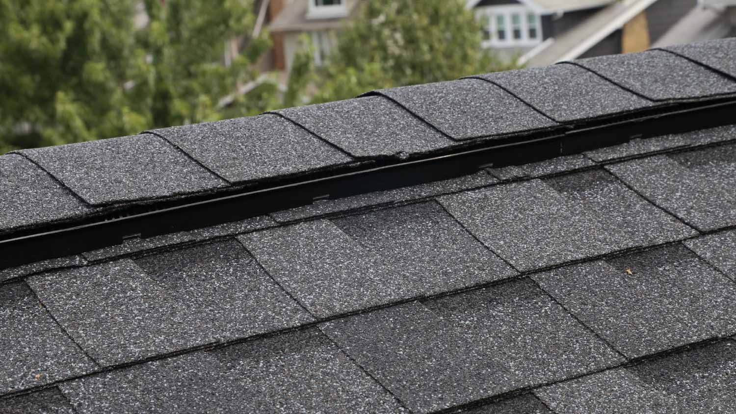 Asphalt roof shingles