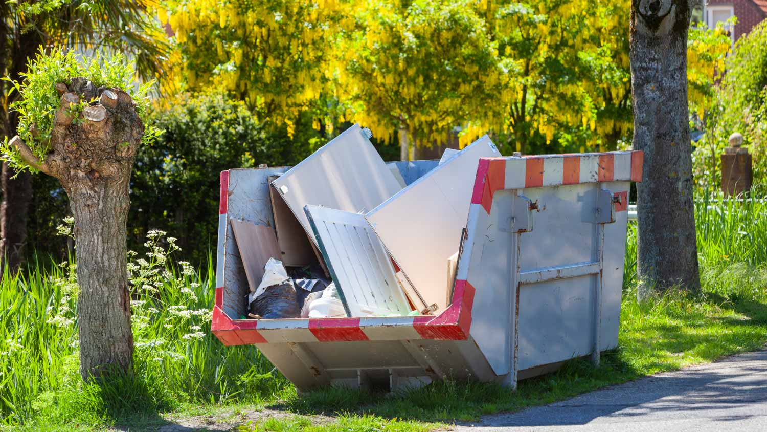 Renovation waste under trees