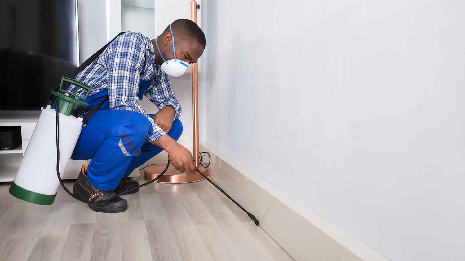 Cockroach exterminator spraying house to get rid of roaches