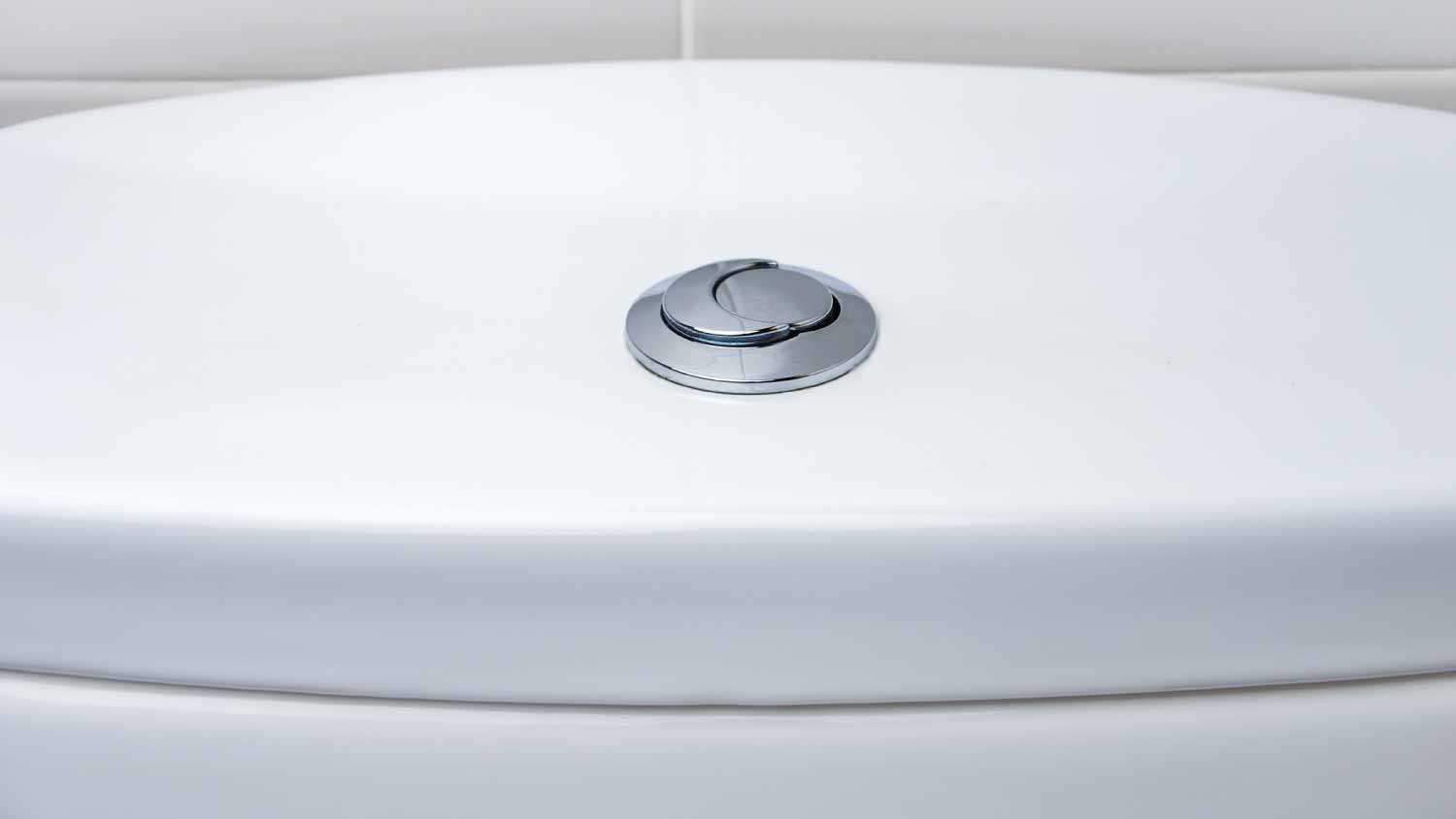 Toilet flush knob