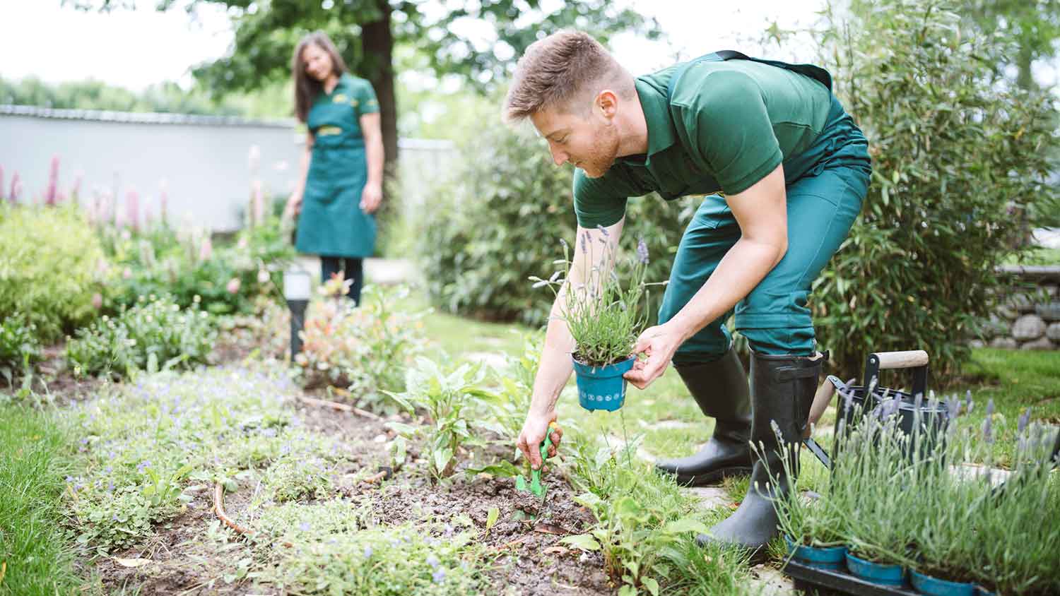 Professional landscapers working in the backyard