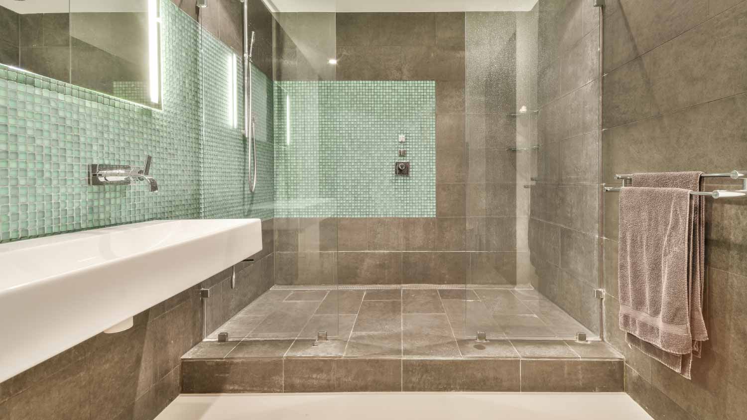 Interior of a sink with a shower