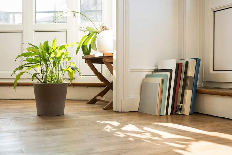 light wood engineered hardwood floor with books, potted plants, and stool