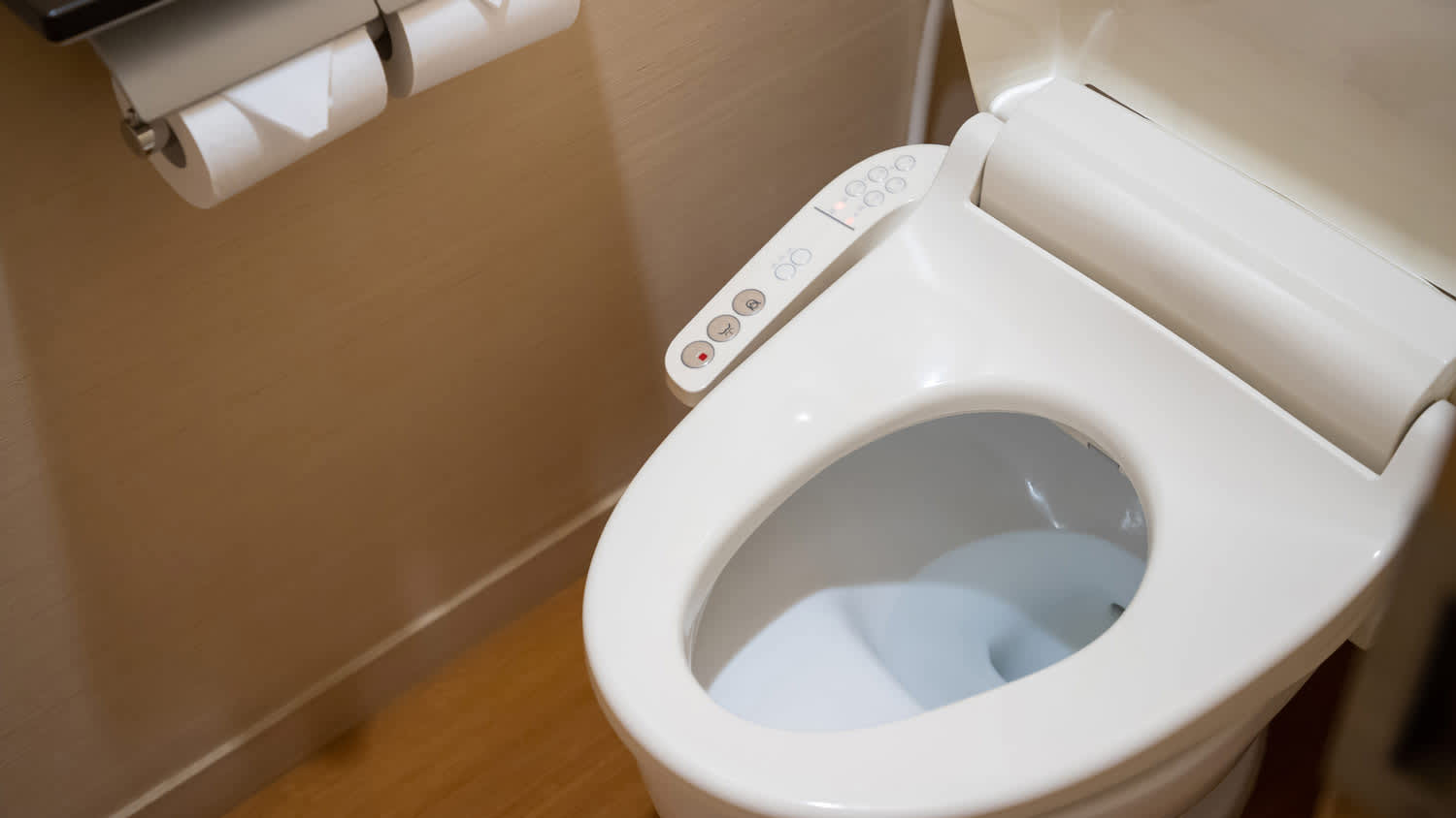bathroom toilet with bidet