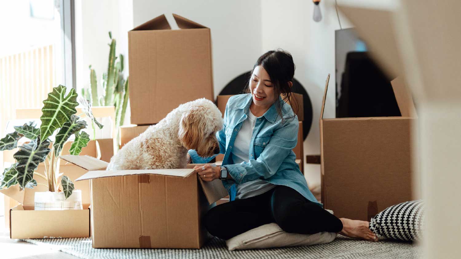 A woman having fun with her dog while packing moving boxes