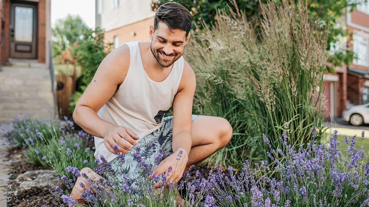 Man admiring lavender in front yard