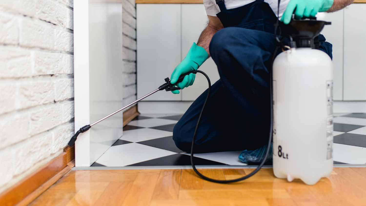 Man spraying pesticide