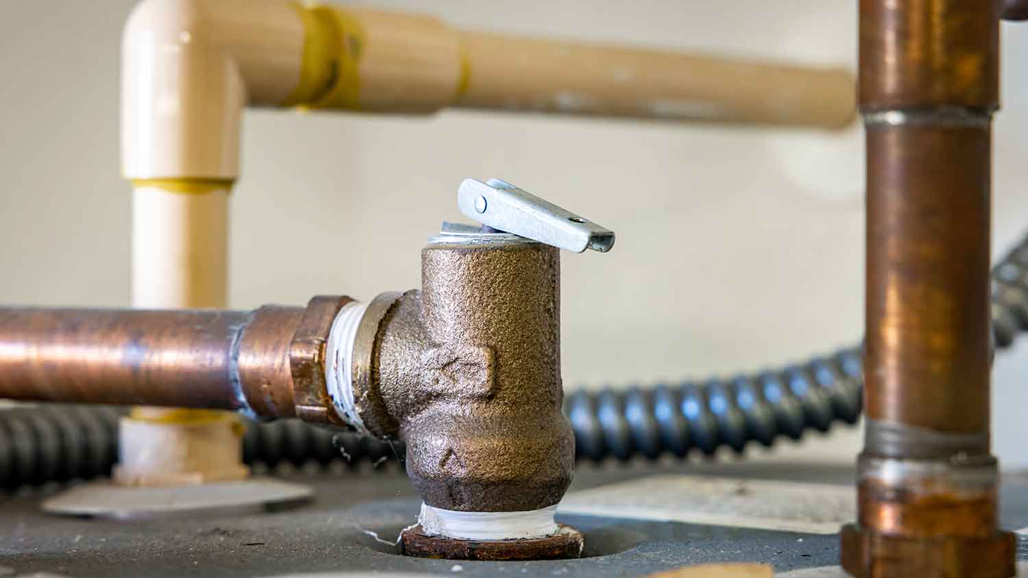 Water heater temperature and pressure relief valve