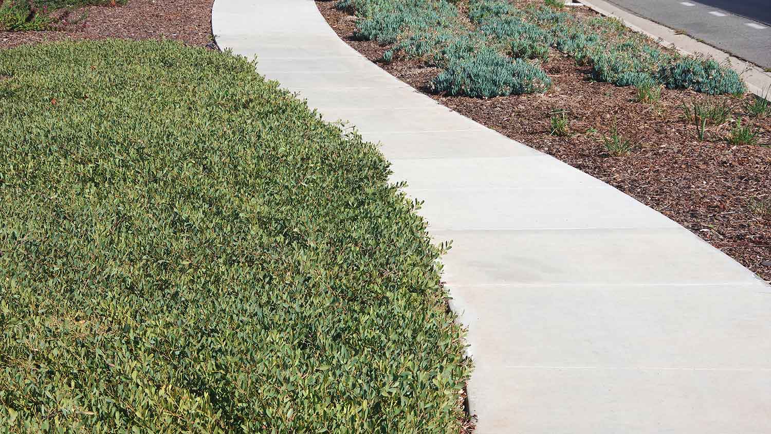 New concrete sidewalk along the road