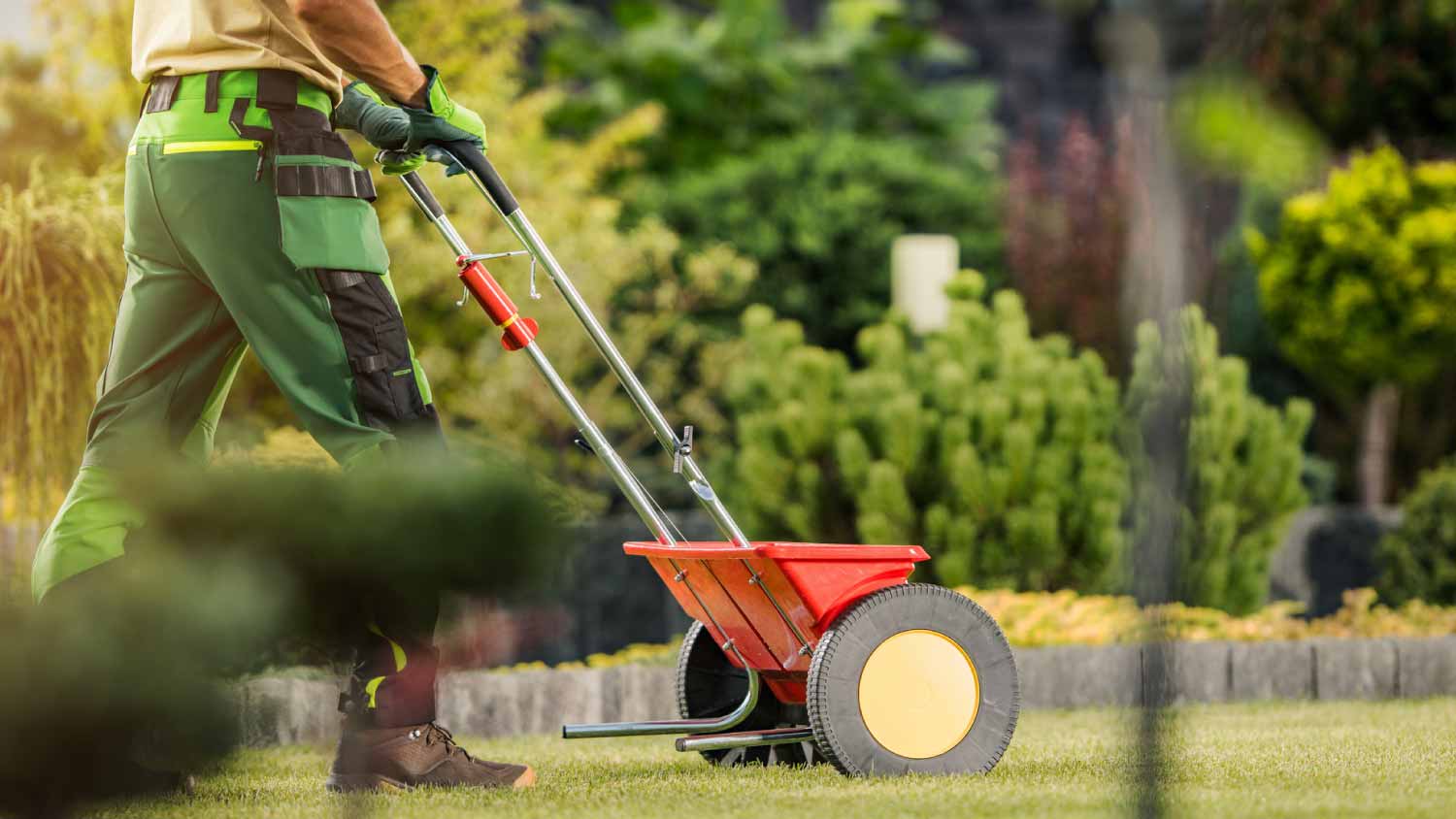 Man fertilizing lawn