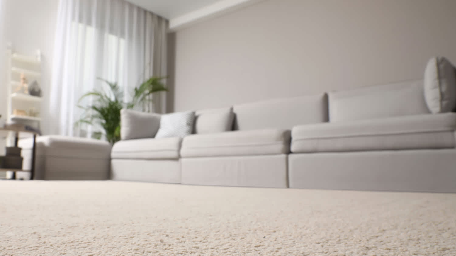 Living room interior with stylish furniture, focus on soft carpet