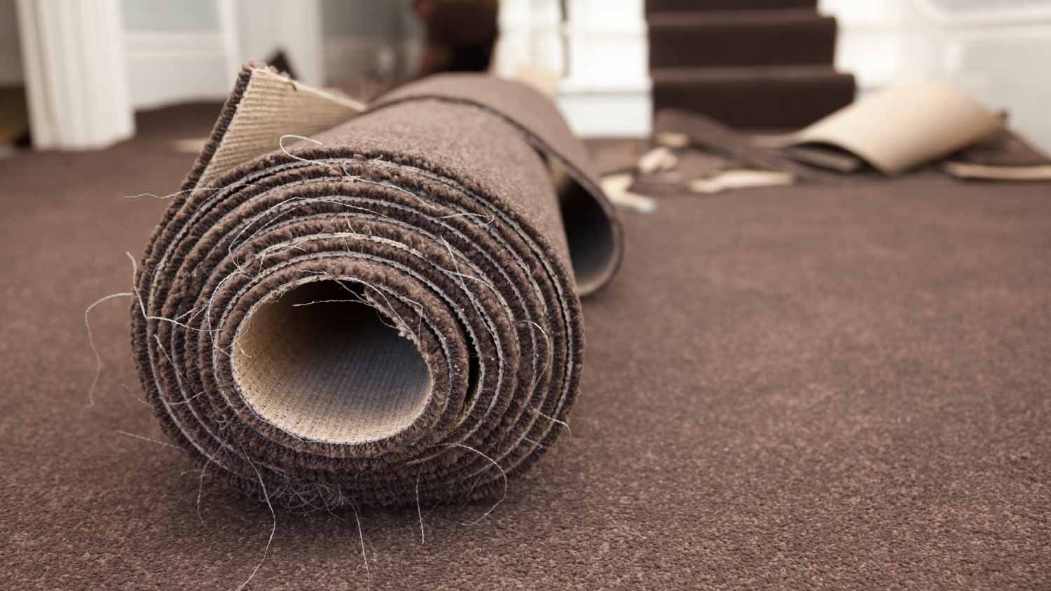 Brown carpet roll