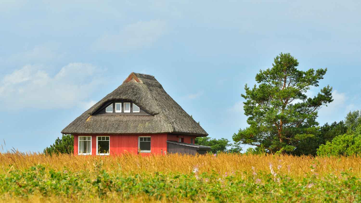 A red house with a thatched roof