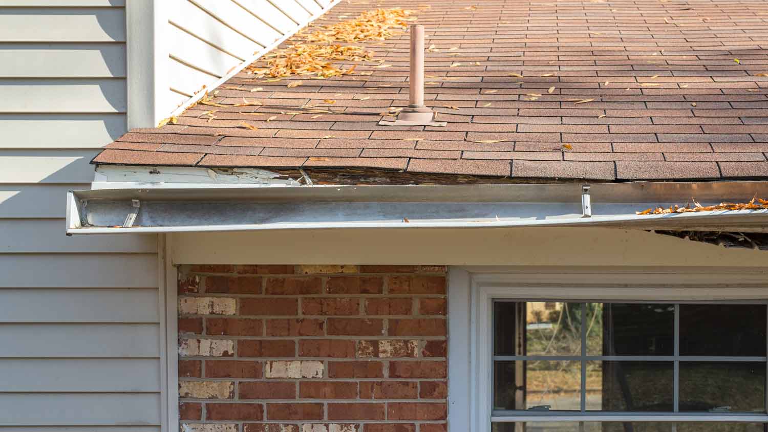 broken gutter and facia board