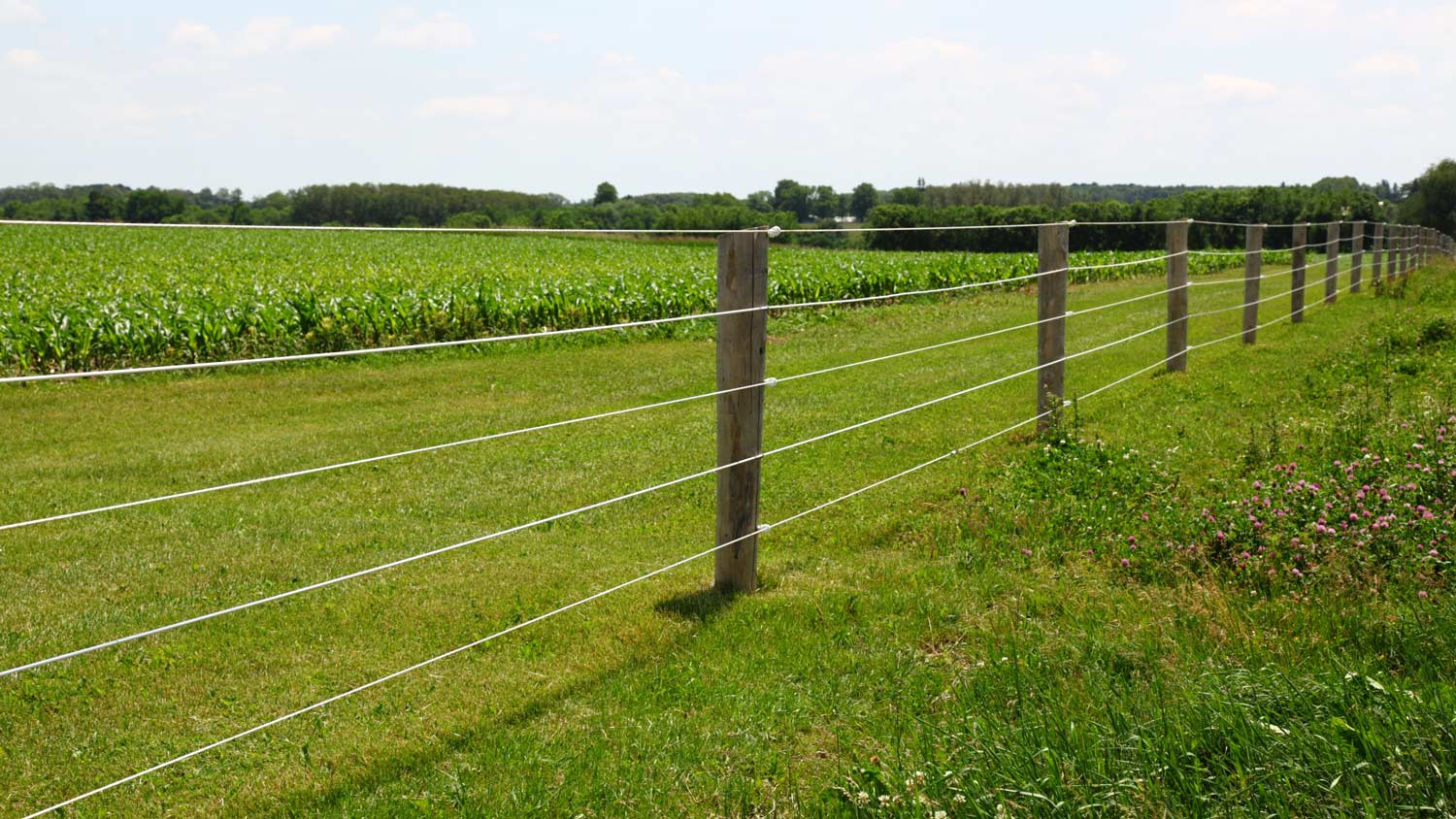 An electric fence on a farm