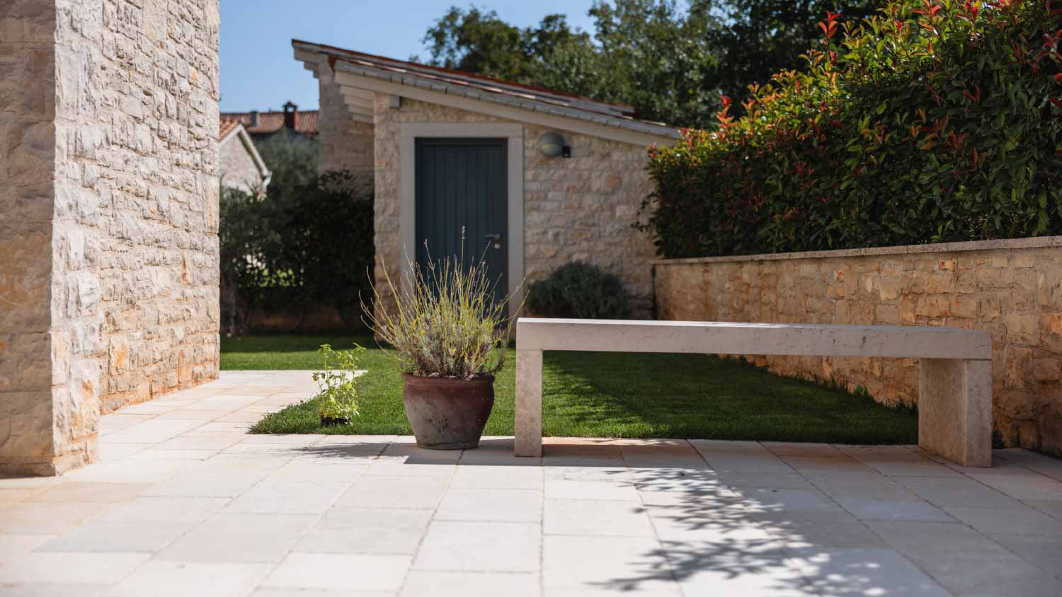 Beautiful driveway and backyard