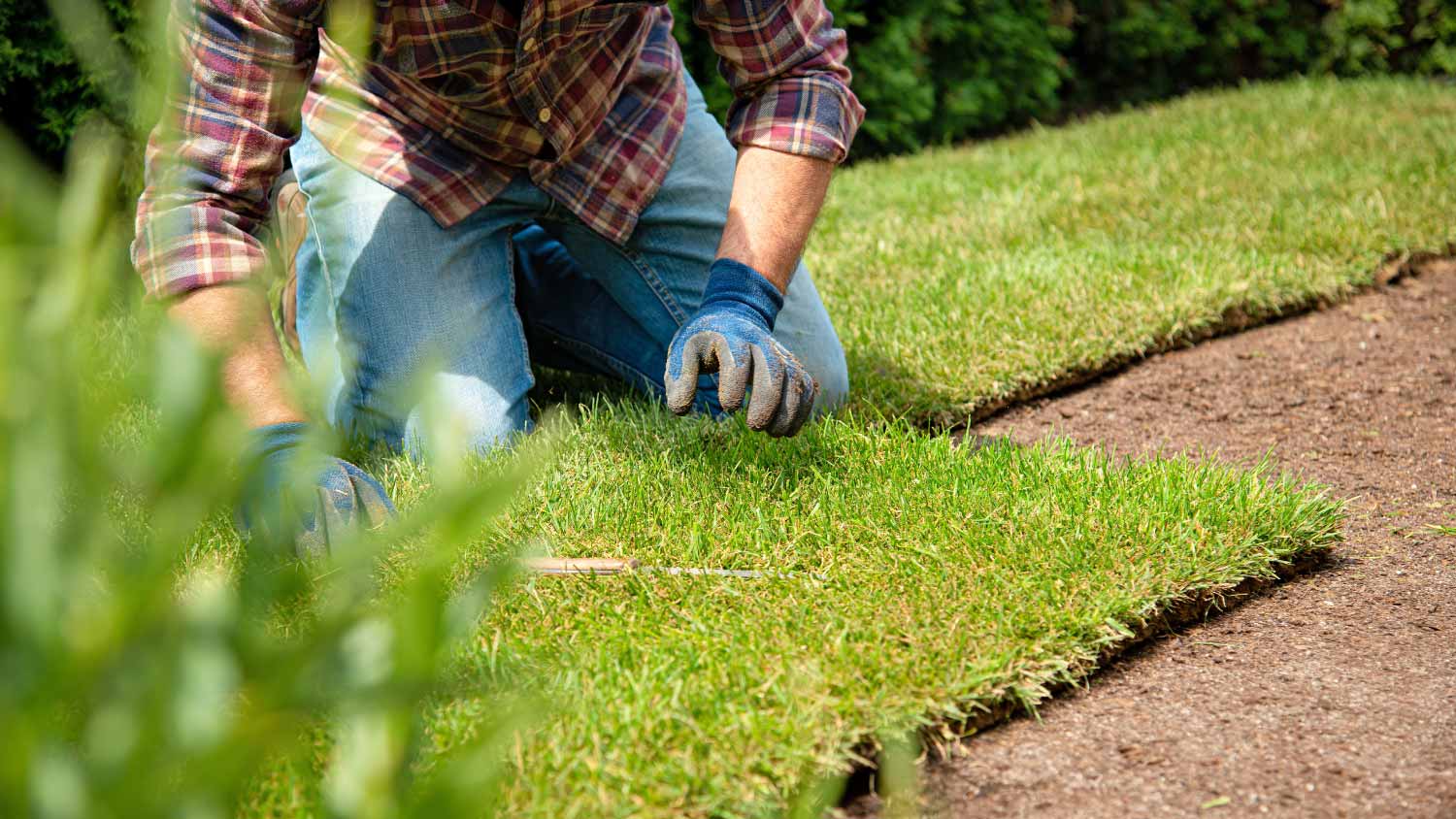 Installing turf rolls in the garden