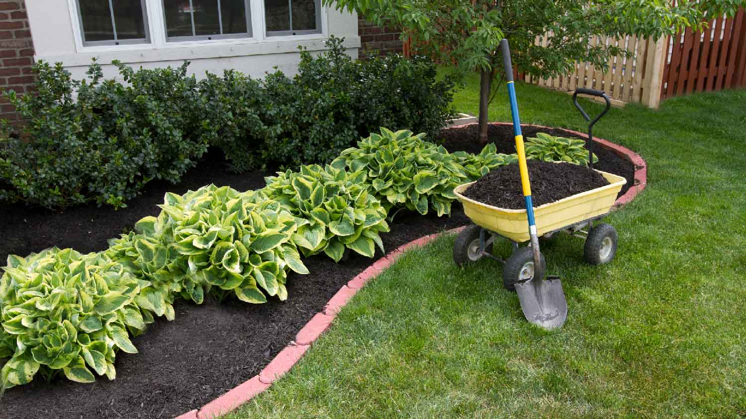 A garden with mulch in a wheelbarrel