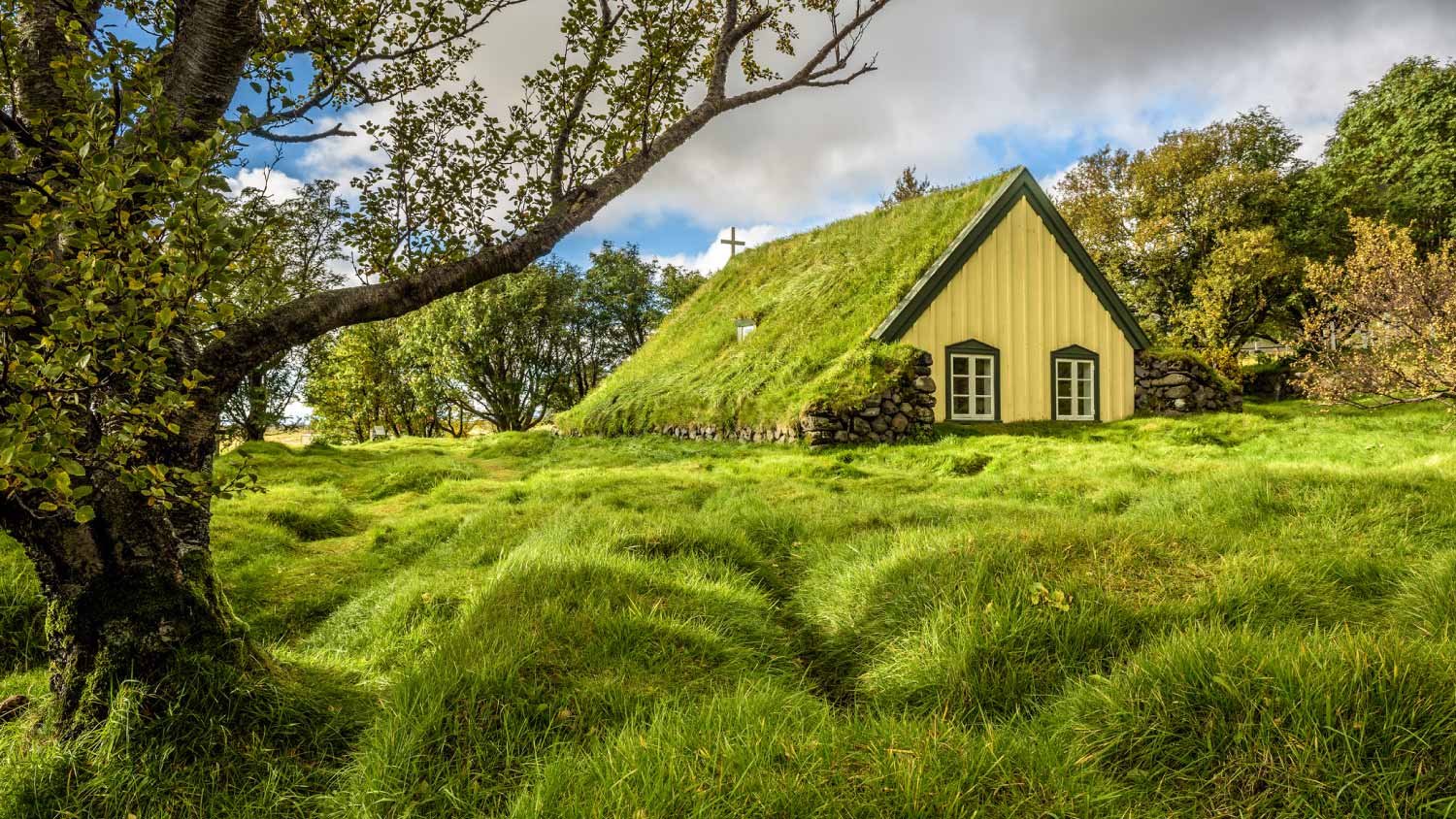 House with large garden