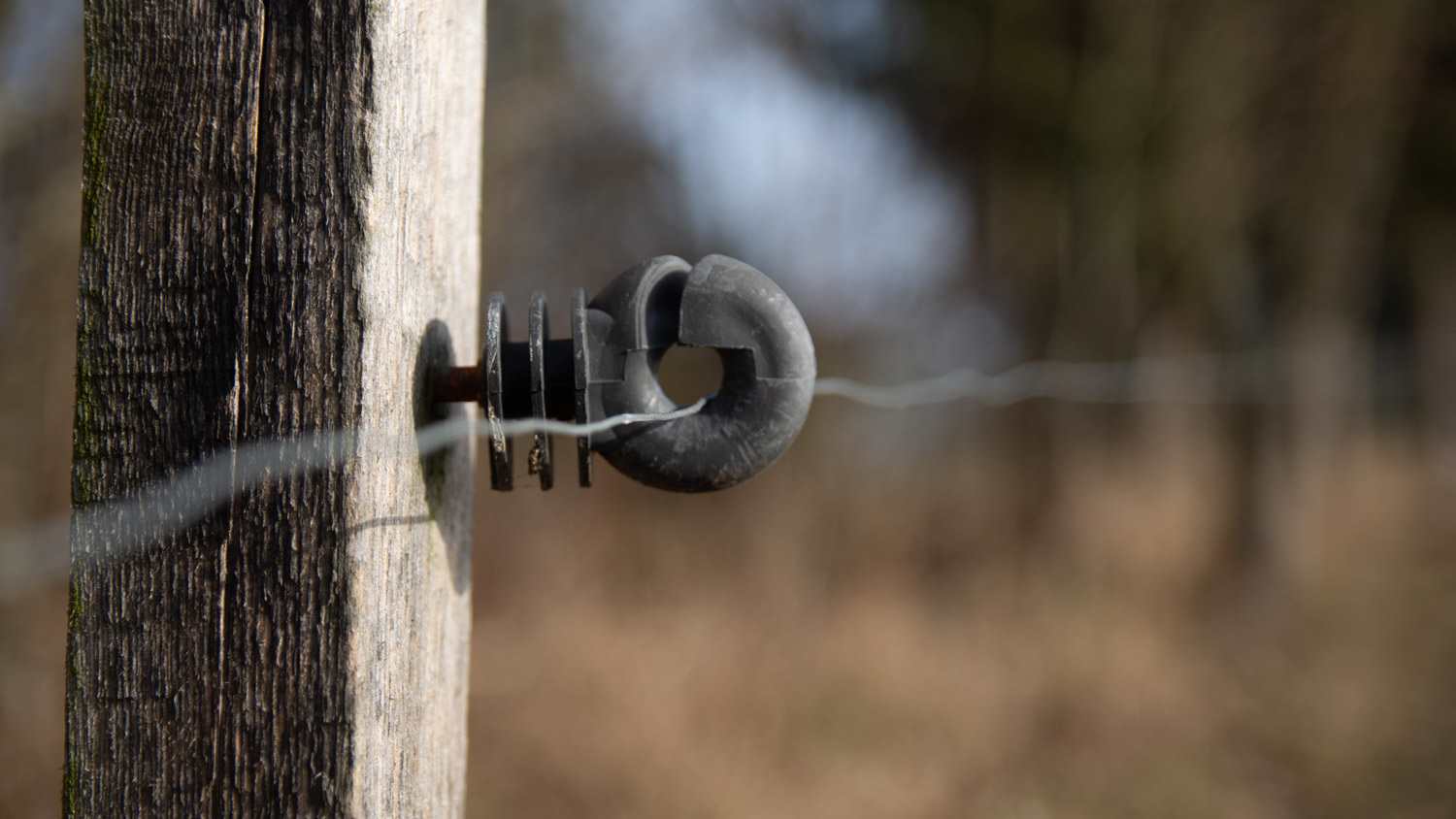 Electric fence around pastures with farm animals