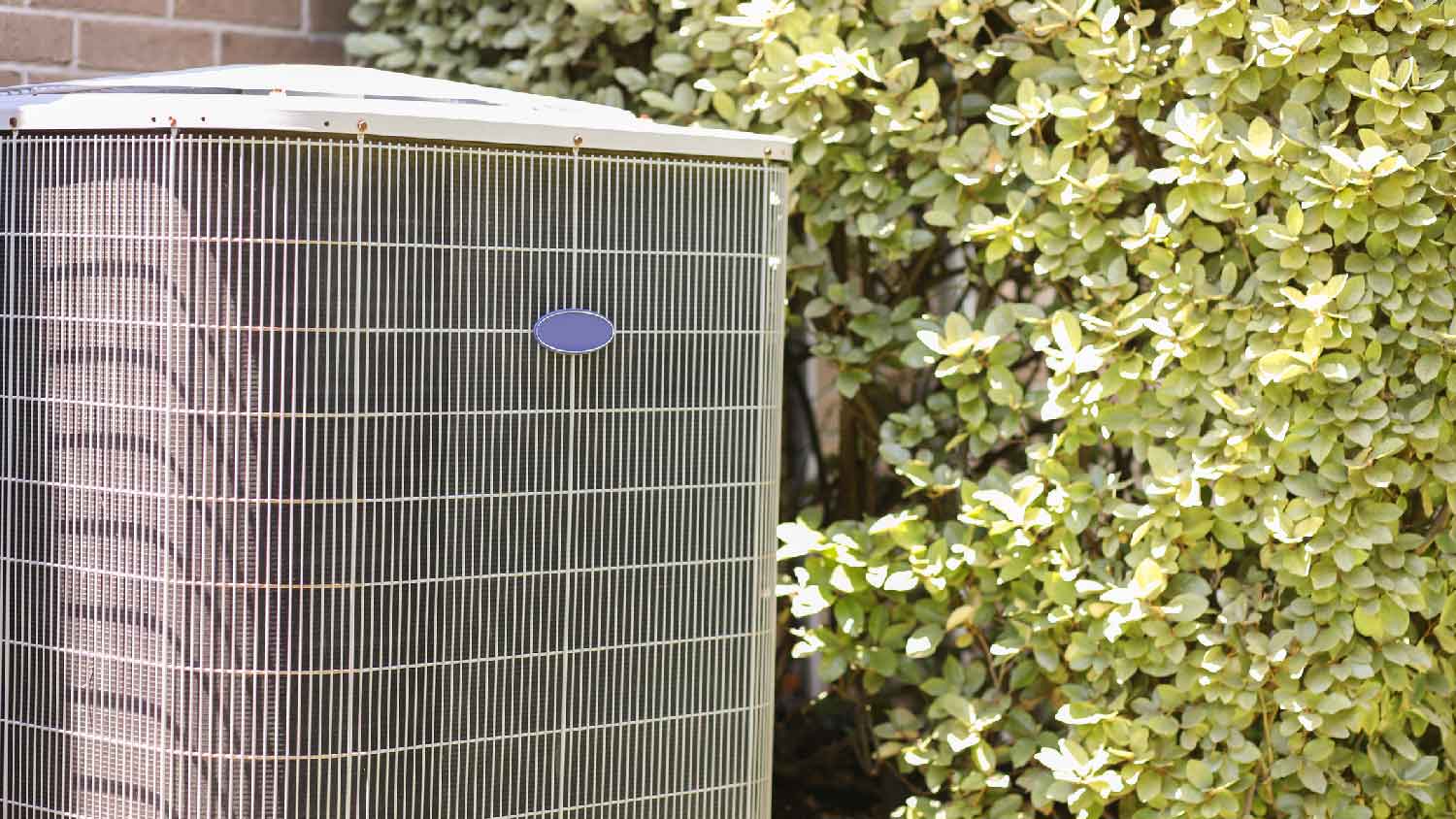A HVAC unit in the backyard