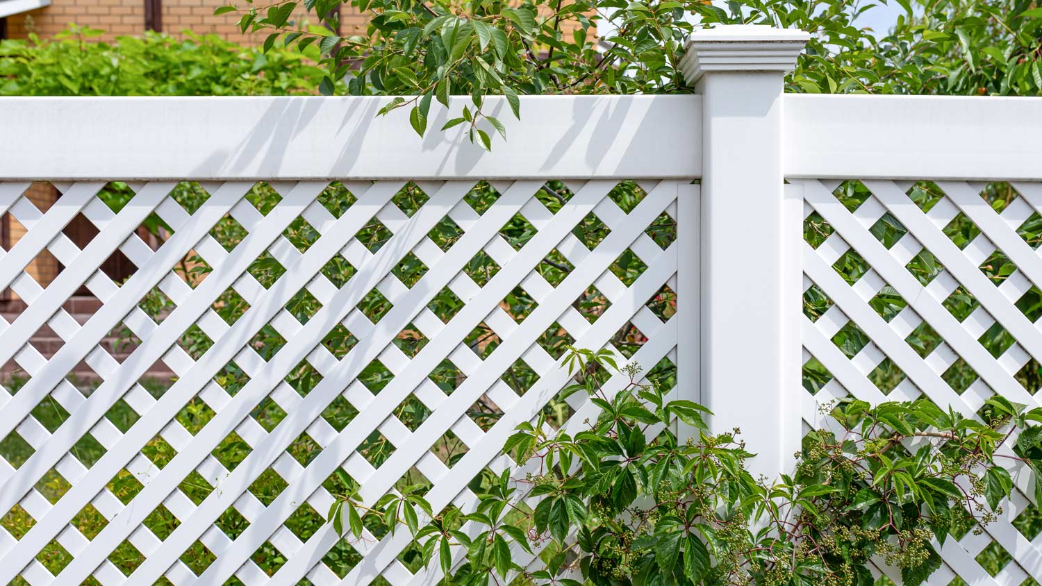 white fencing of the house territory