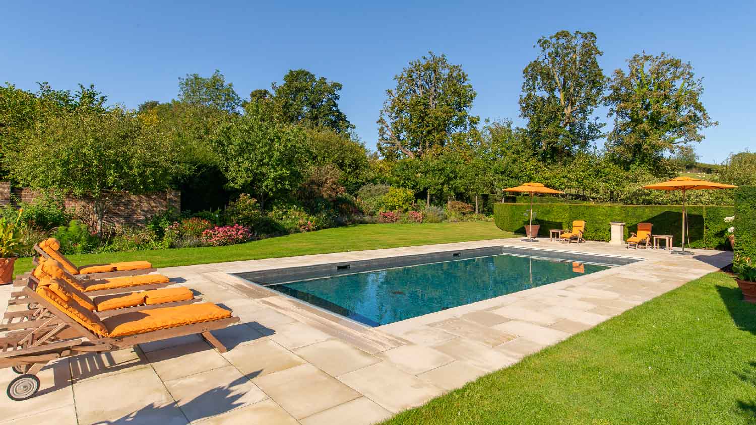 A luxurious pool in a lush backyard