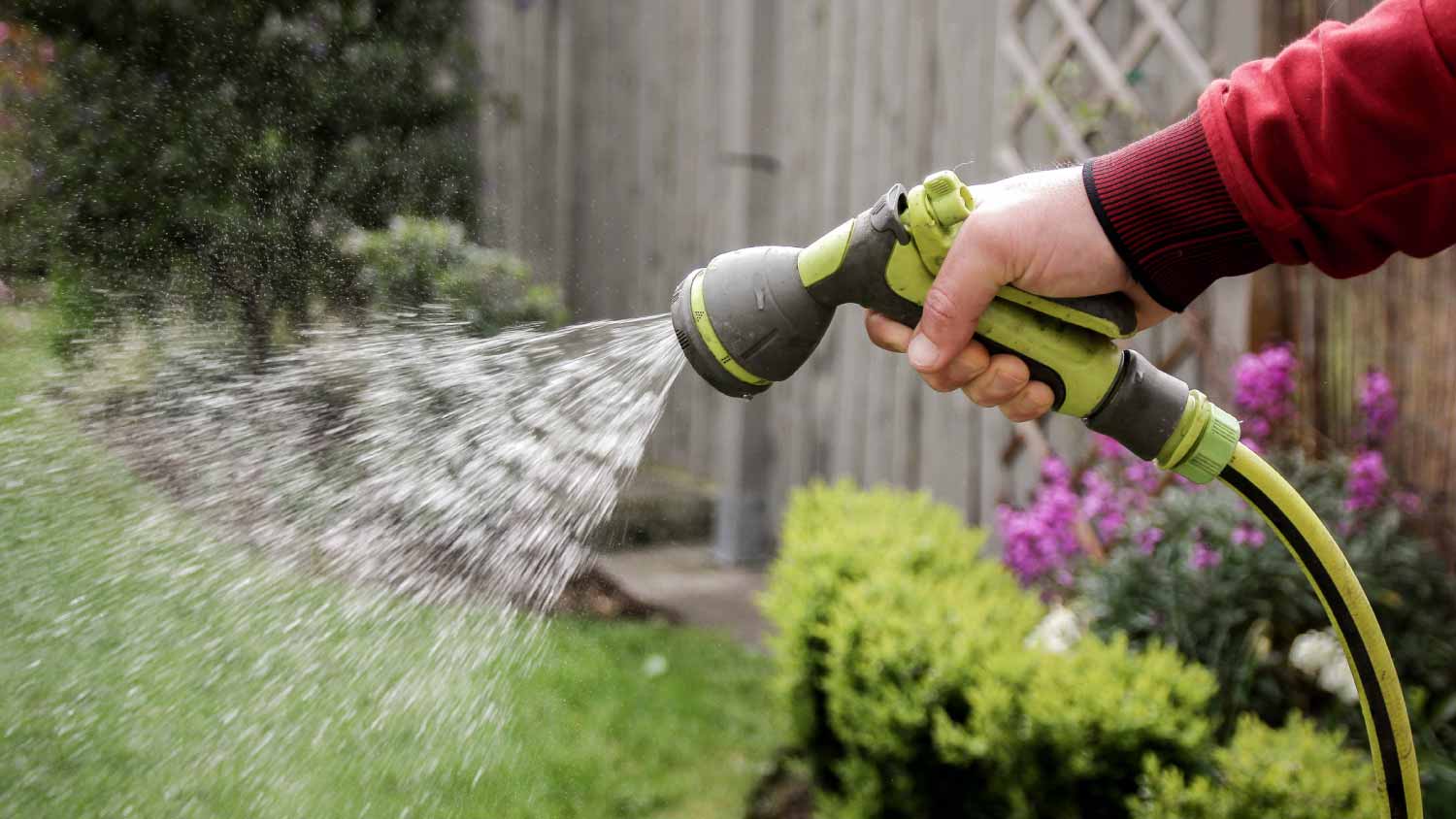 Man watering plant in garden