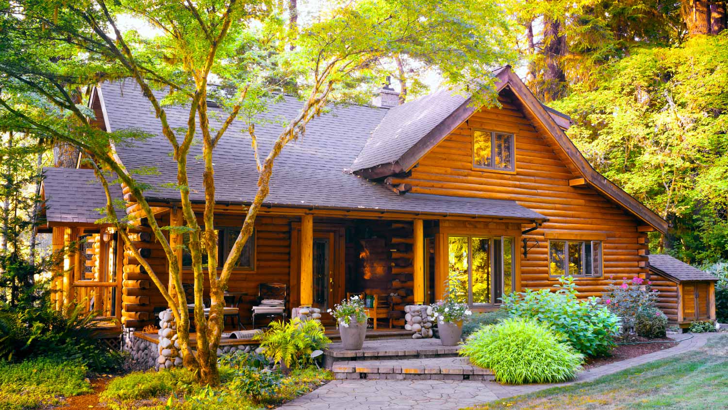 Modern log cabin