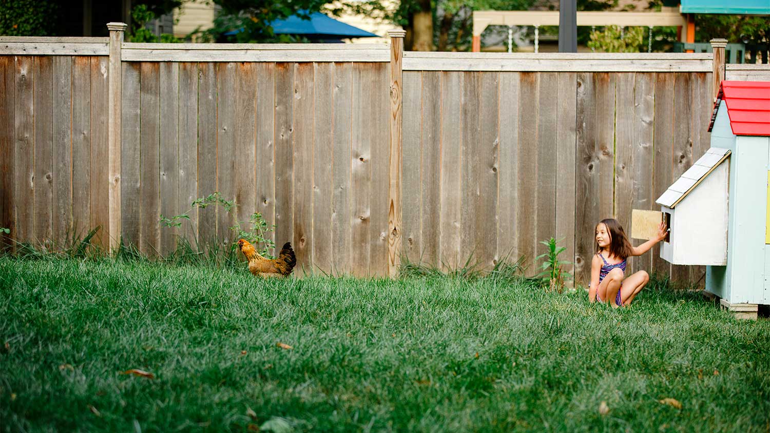 A child plays in a backyard