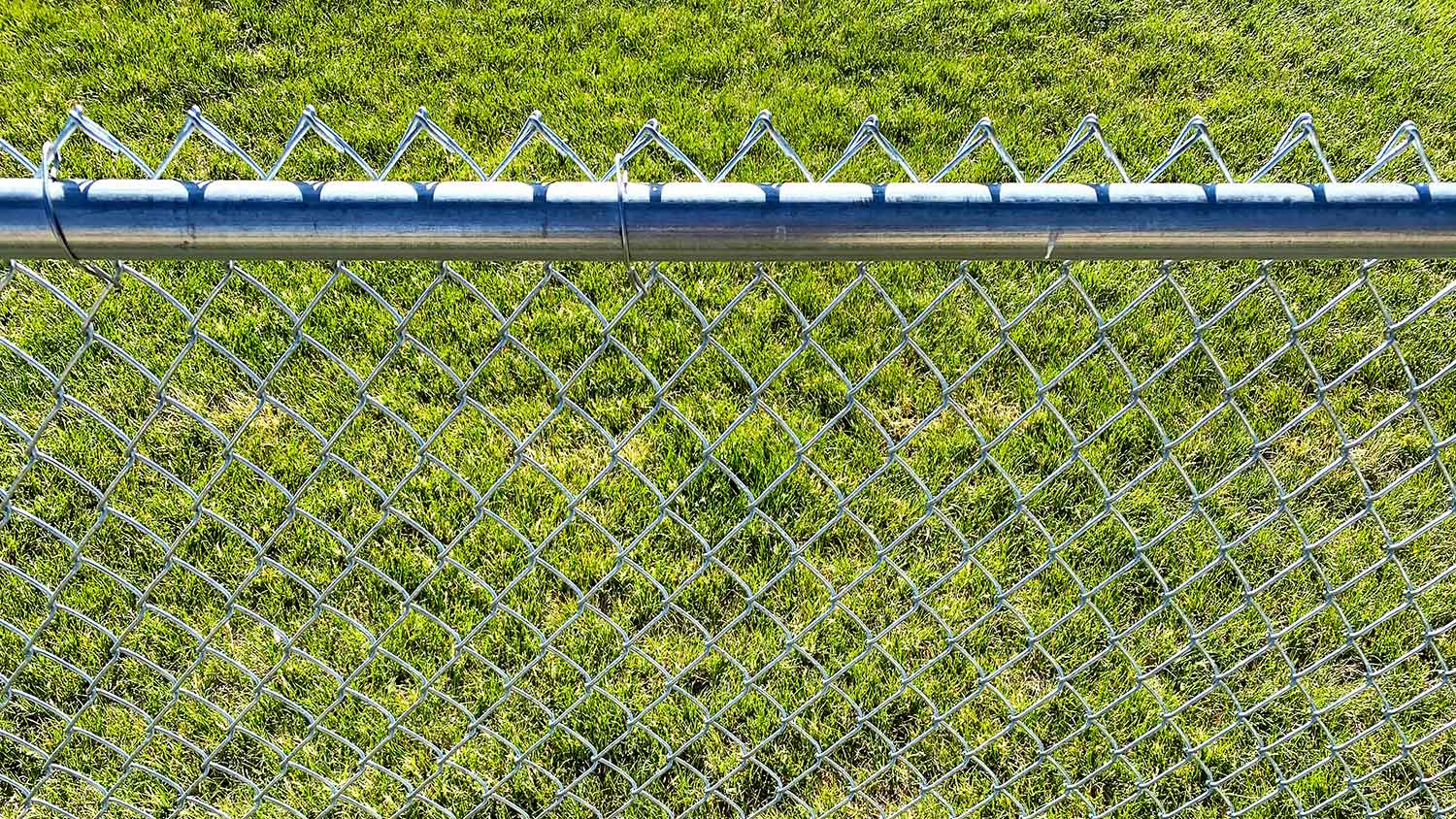 Chain link fence installed in the yard