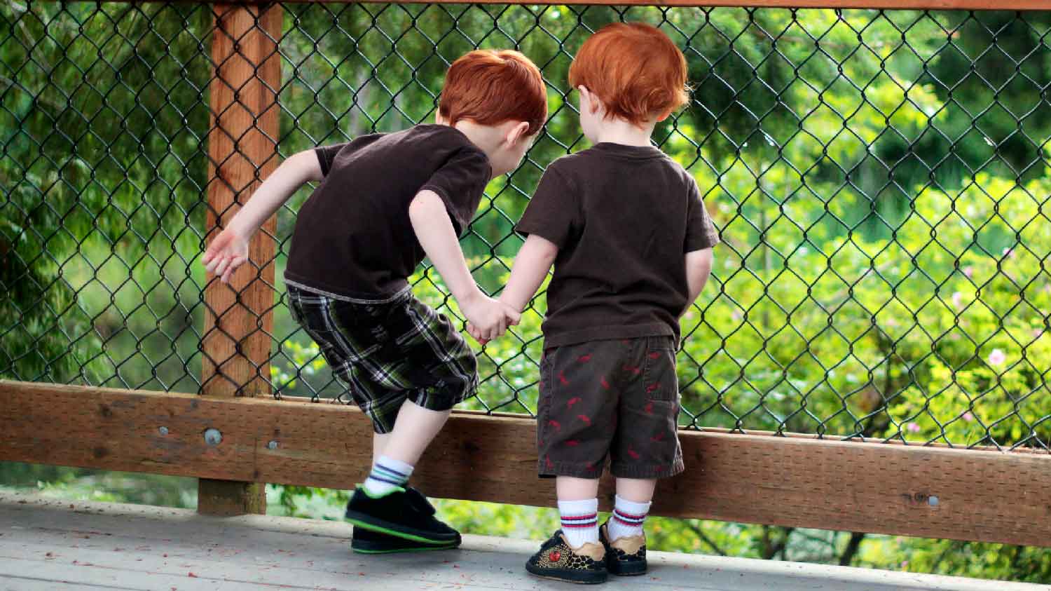 Two siblings in front of a hog wire fence