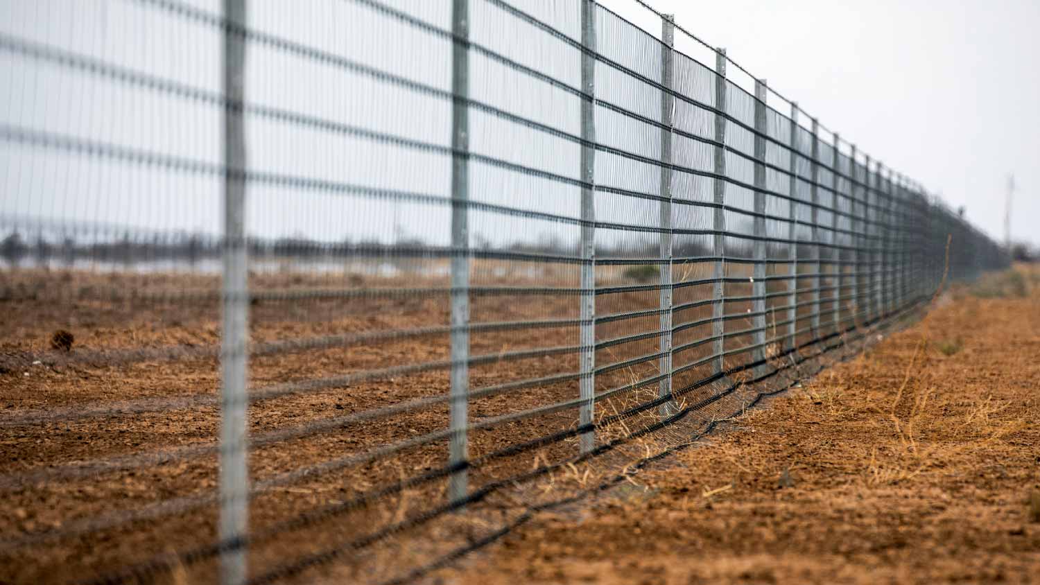 Barbed wire fence